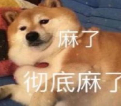 津门虎邀新,援加盟,内援试训助,nba买球官方网站,nba买球,(中国)官方,nba买球网站,nba买球app下载