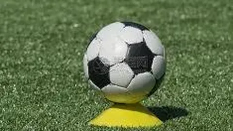 “杜绝热量浪费！易拆卸保温外套助力板式换热器实现节能增效”